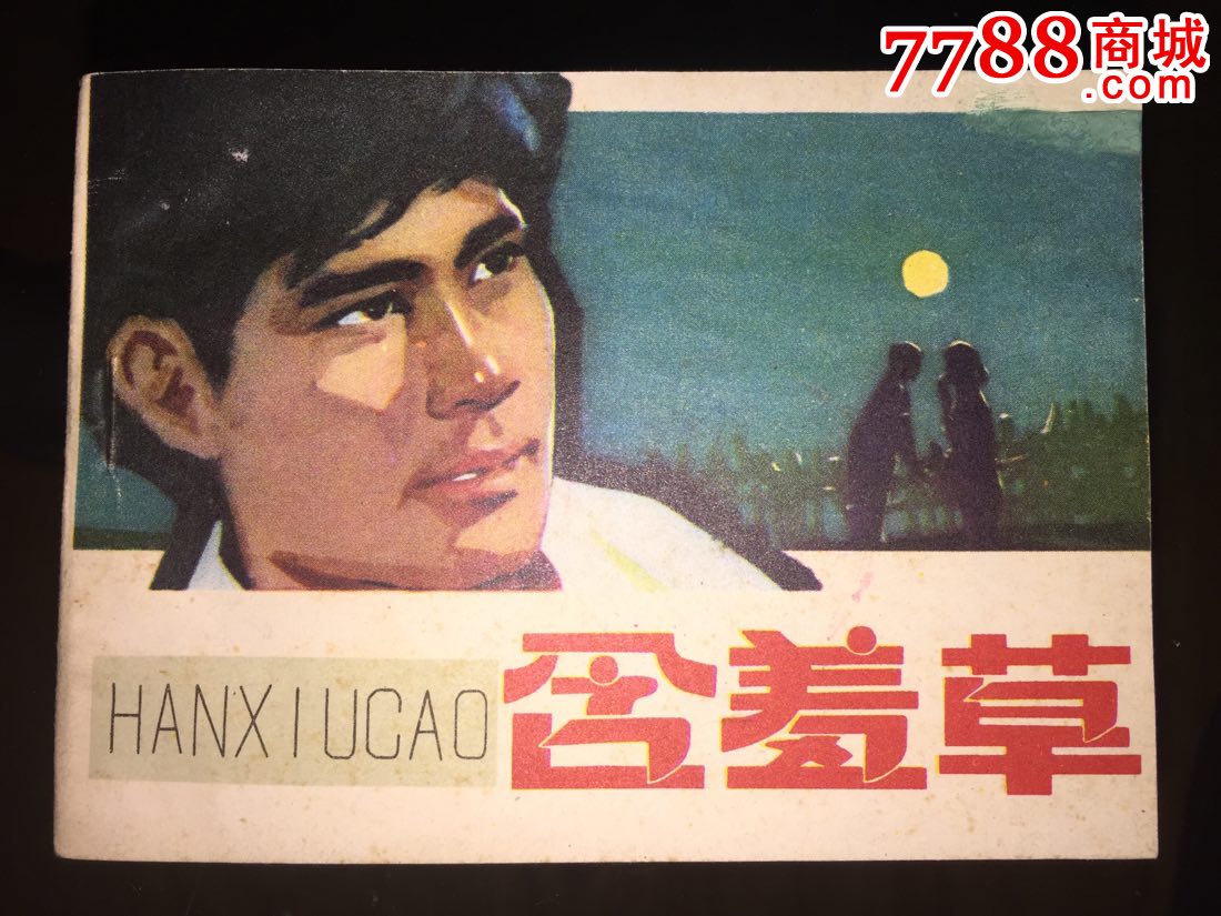 含羞草