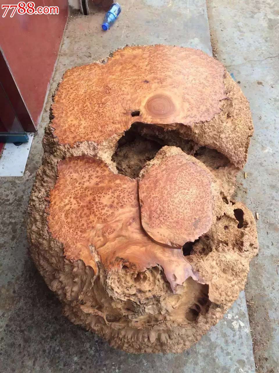 杉木瘤脱骨料极品茶台