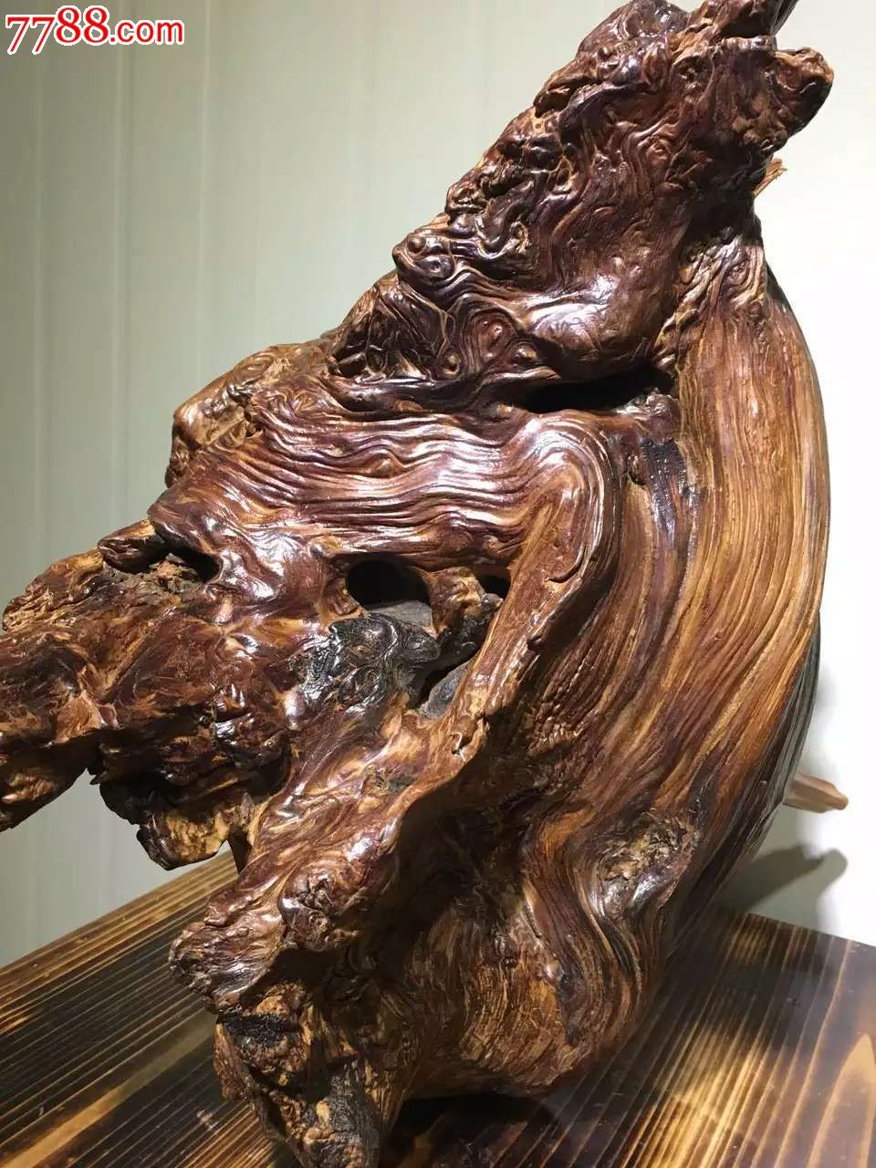 城口崖柏高油骨化坨带菩萨纹理