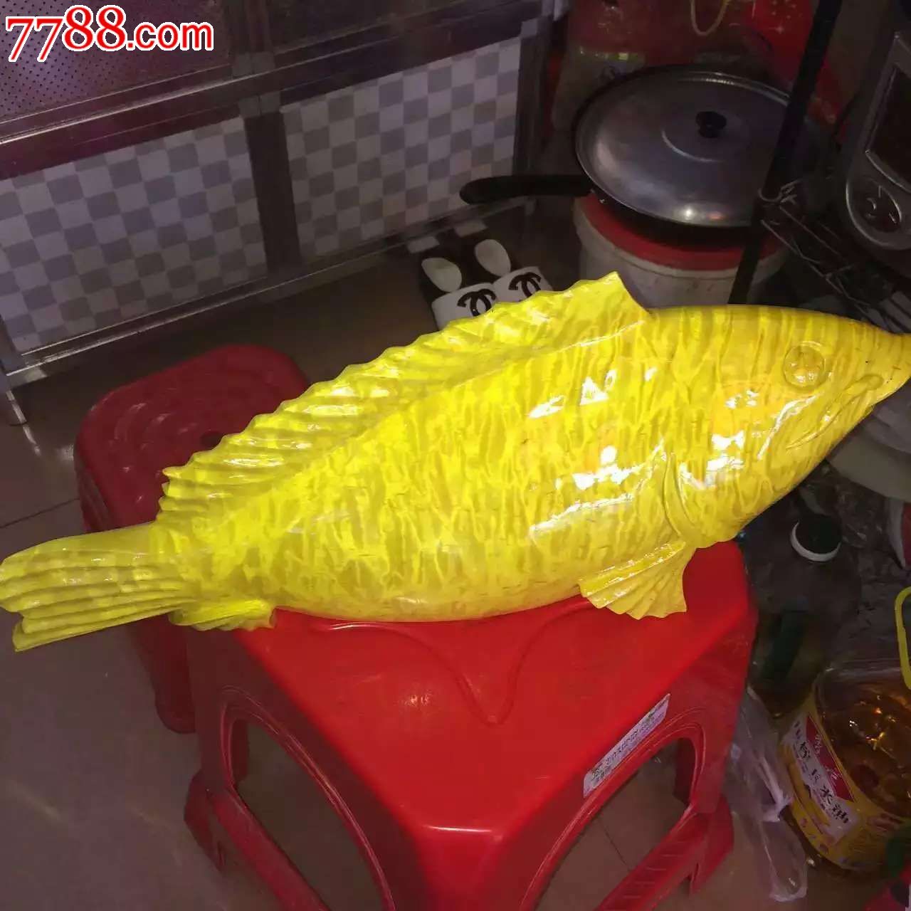 刚出大叶金丝楠鱼5