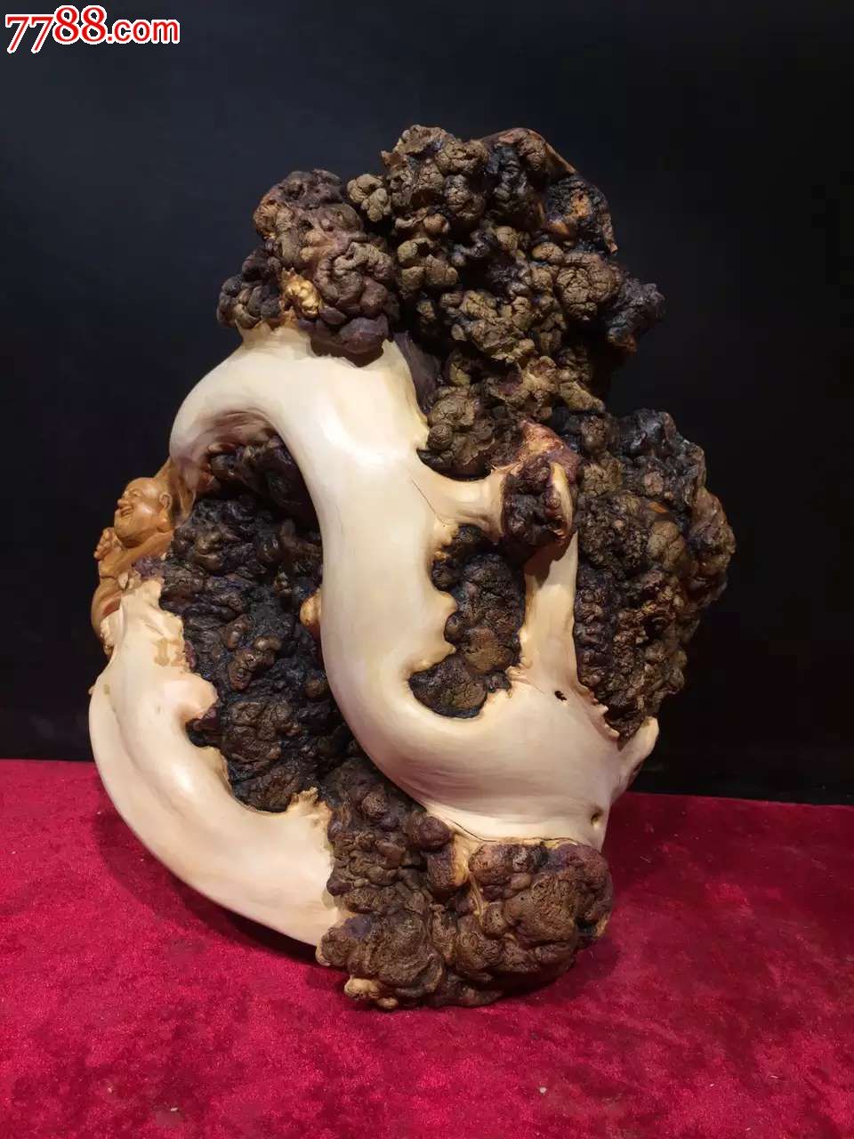 崖柏精品变异瘤