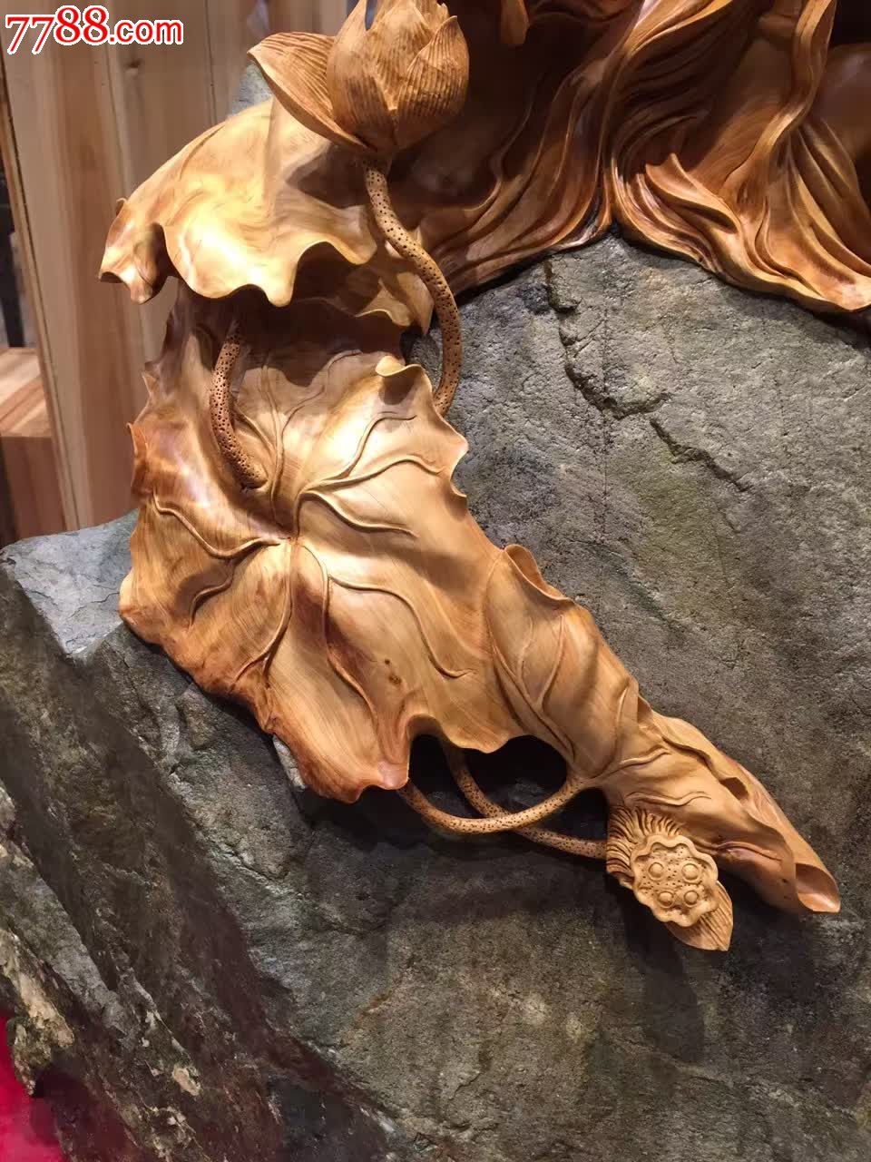 荷花仙子秦岭老料根抱