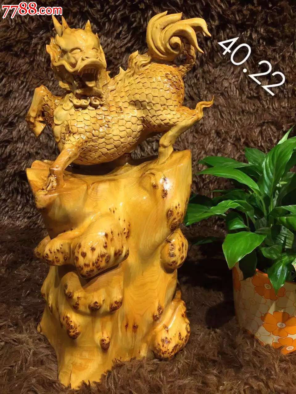 龙生九子崖柏瘤摆件