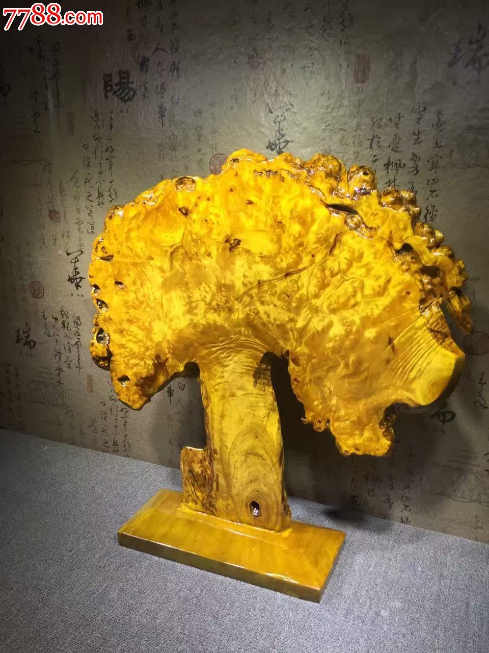 极品黄金樟摇钱树