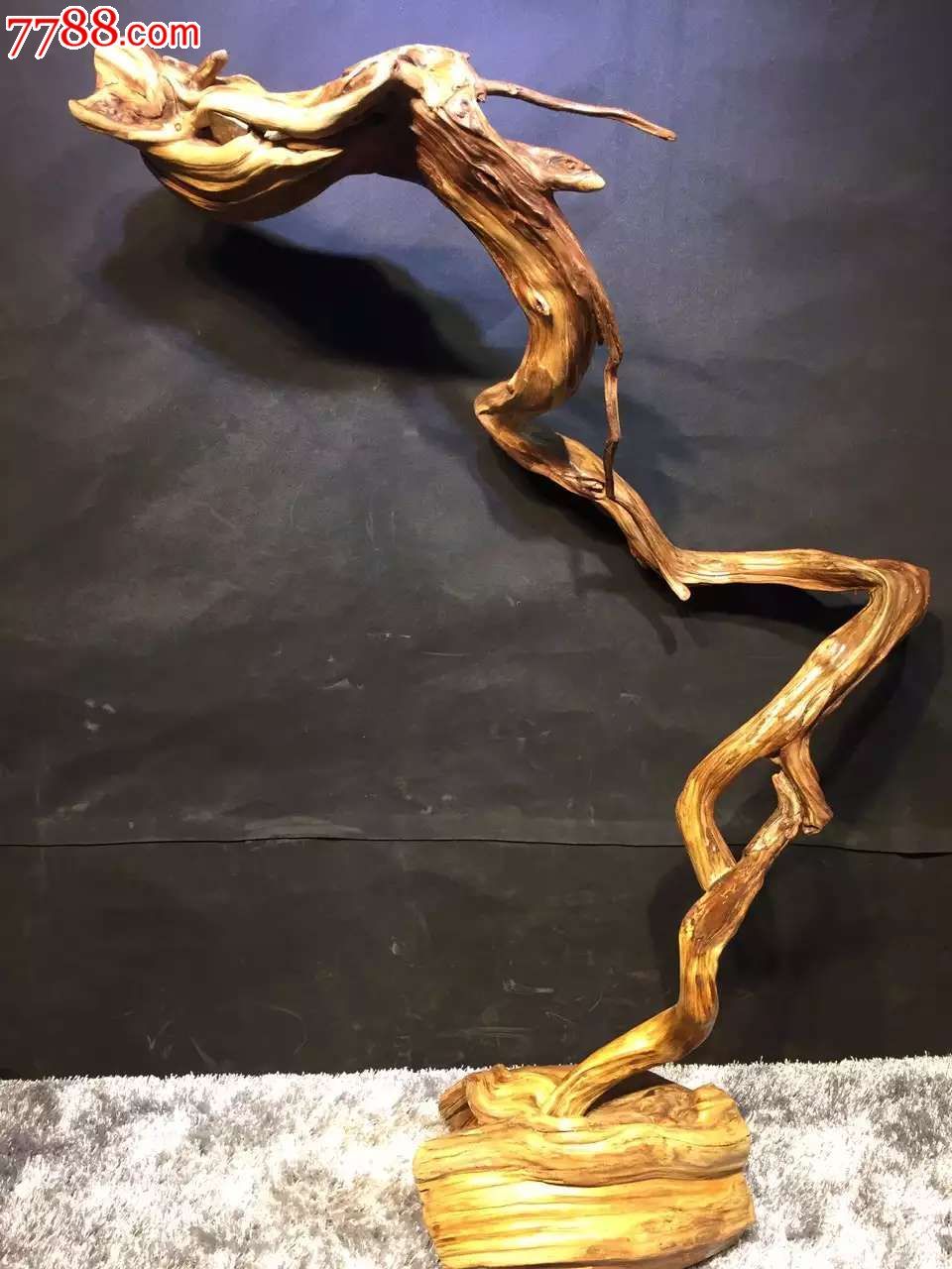 崖柏陈化料飞龙在天