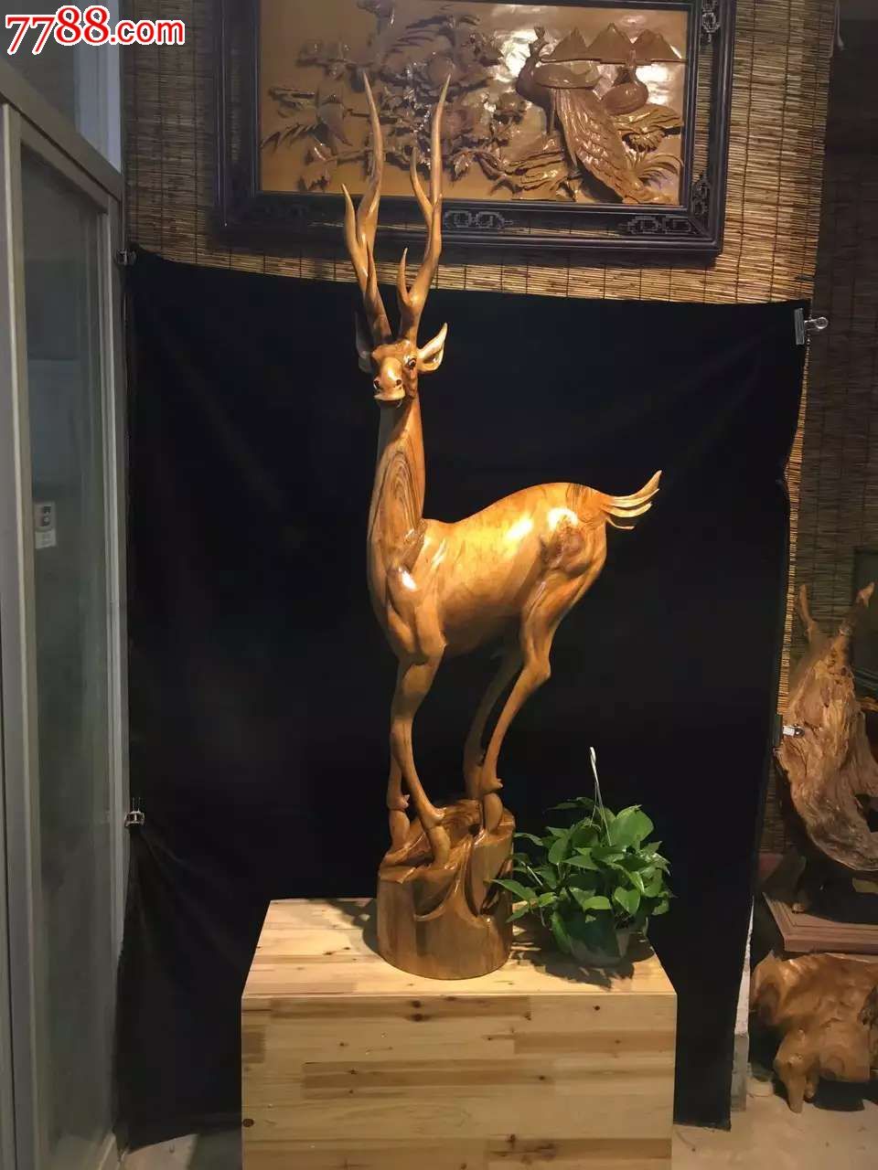 香樟木生财有鹿可