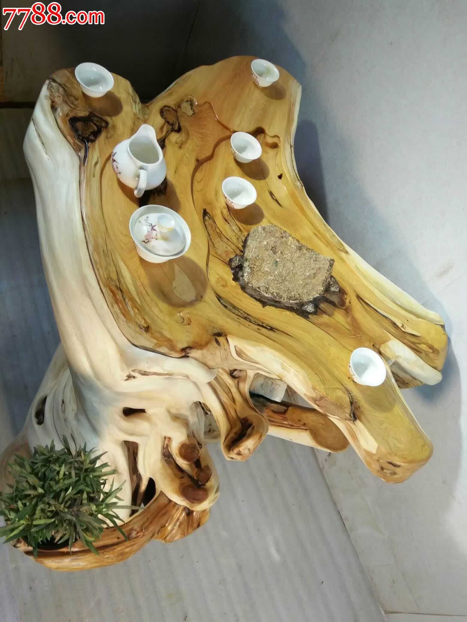 崖柏茶台天然无拼补实