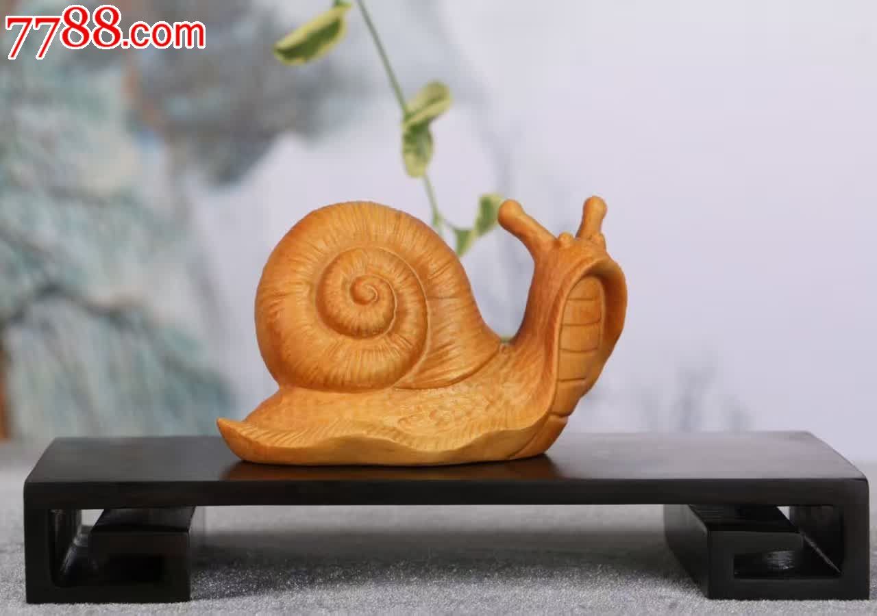 湖北小叶黄杨蜗牛10