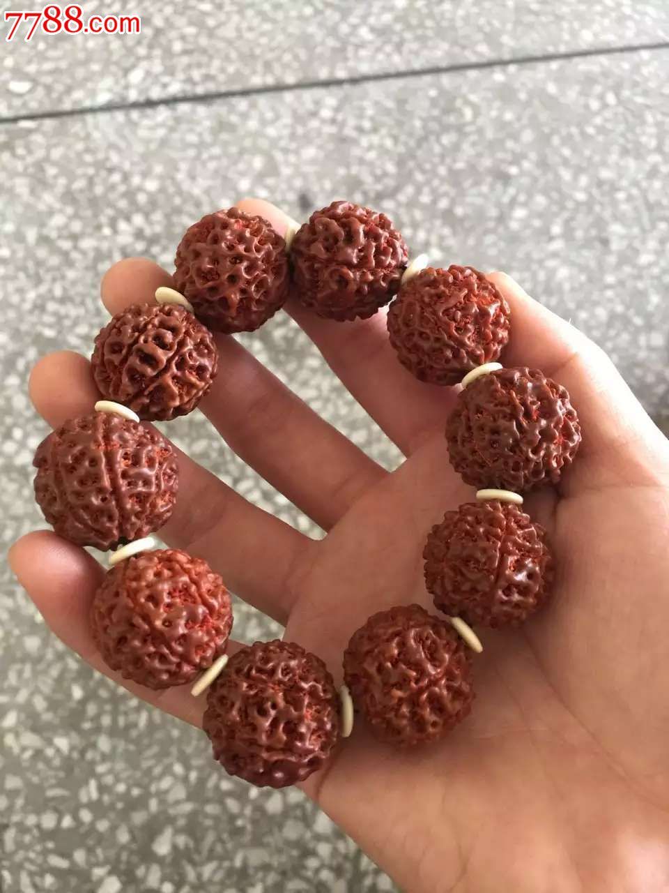 印尼金刚菩提8瓣10-价格:0.