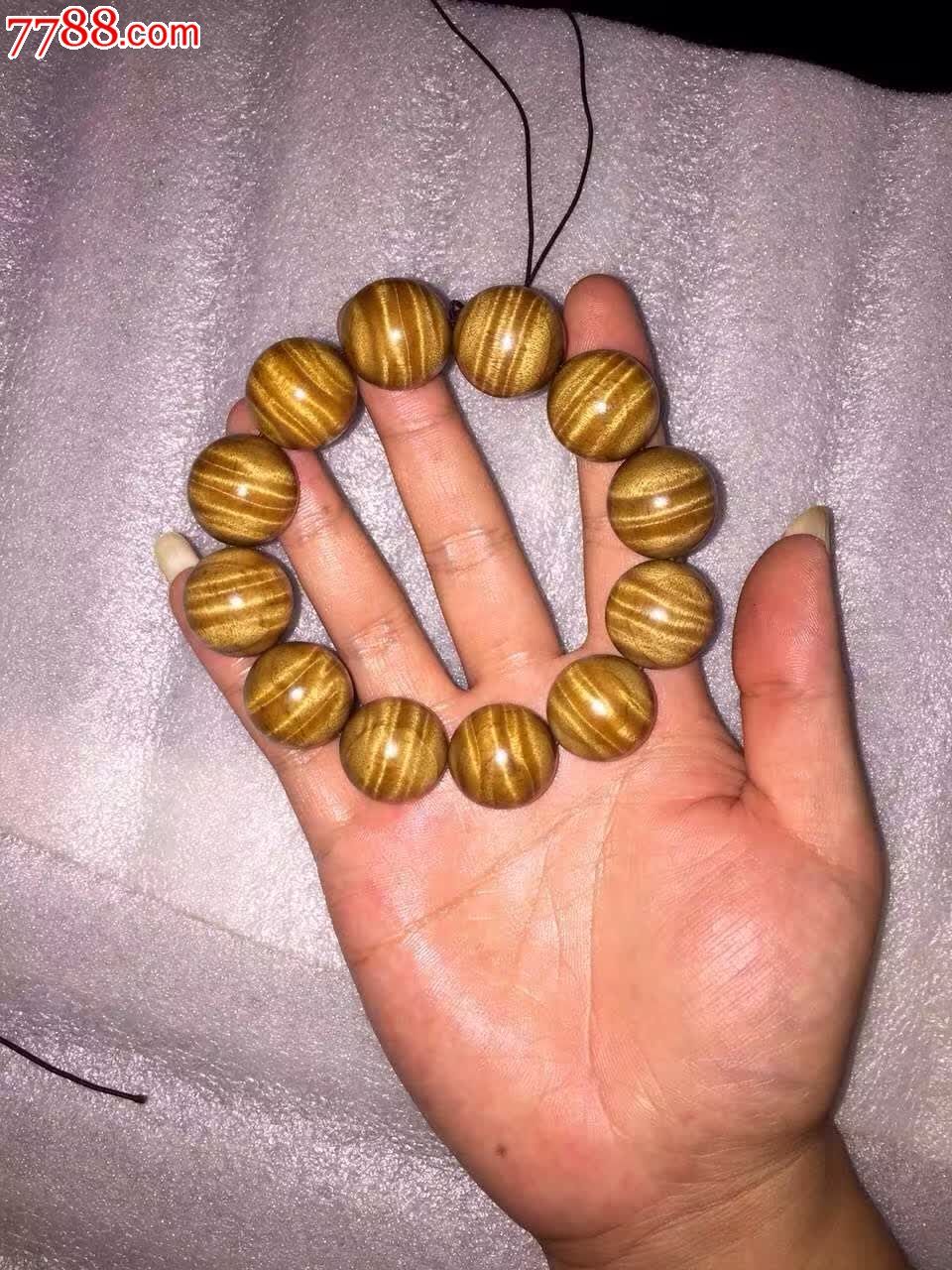 金丝楠小叶桢楠20