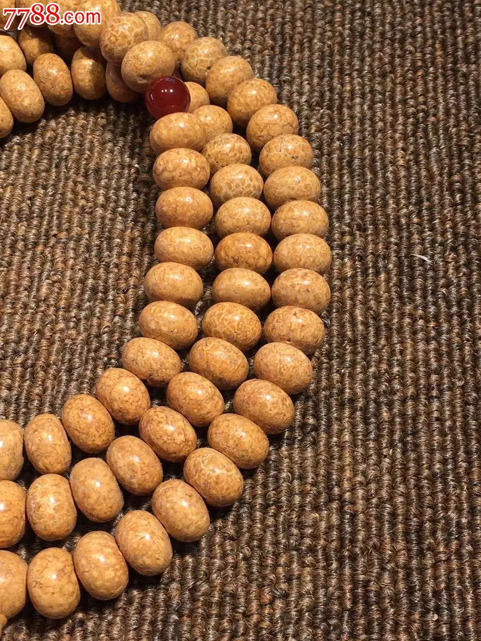 新款天竺血丝龙珠菩提
