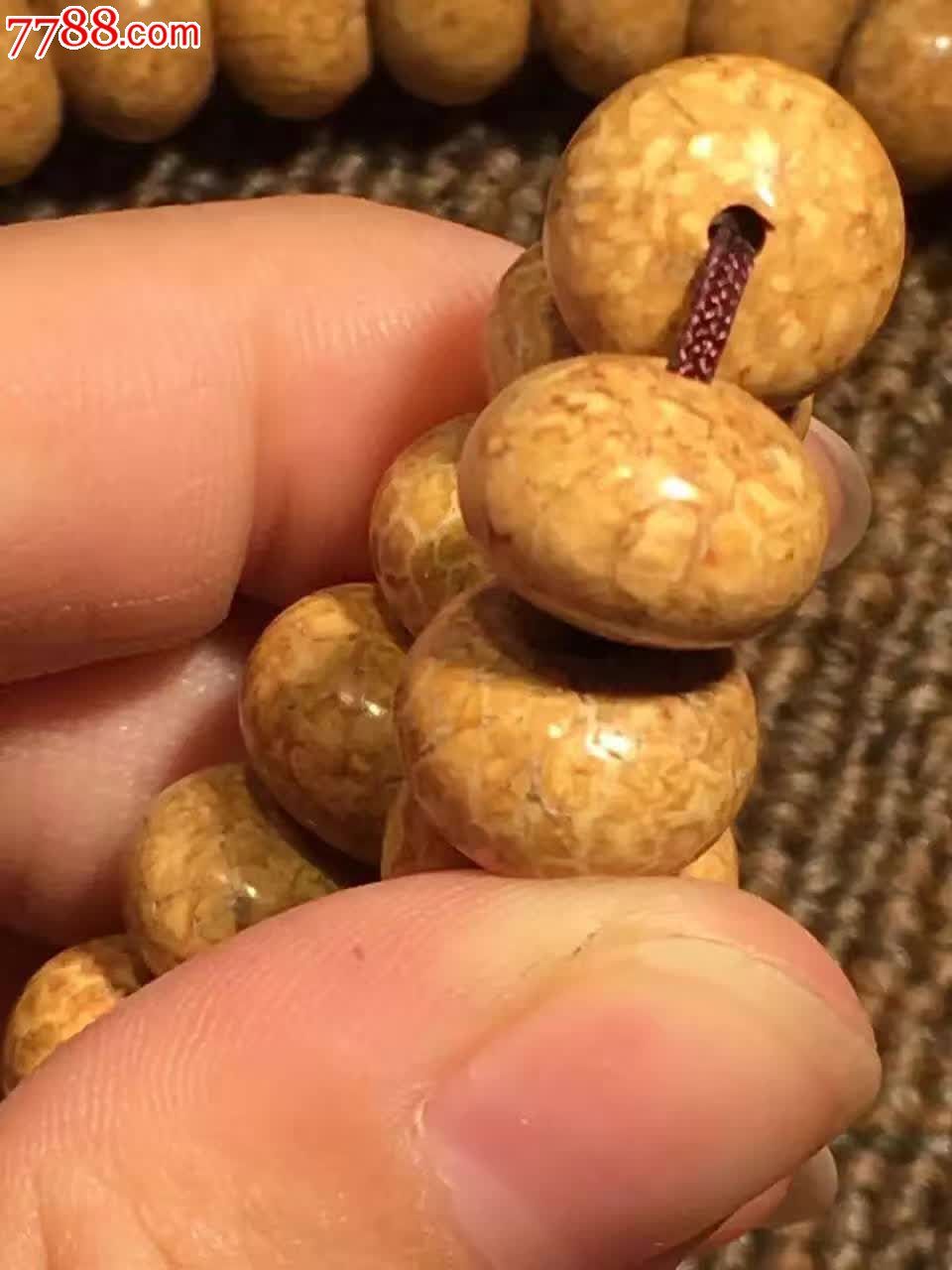 新款天竺血丝龙珠菩提
