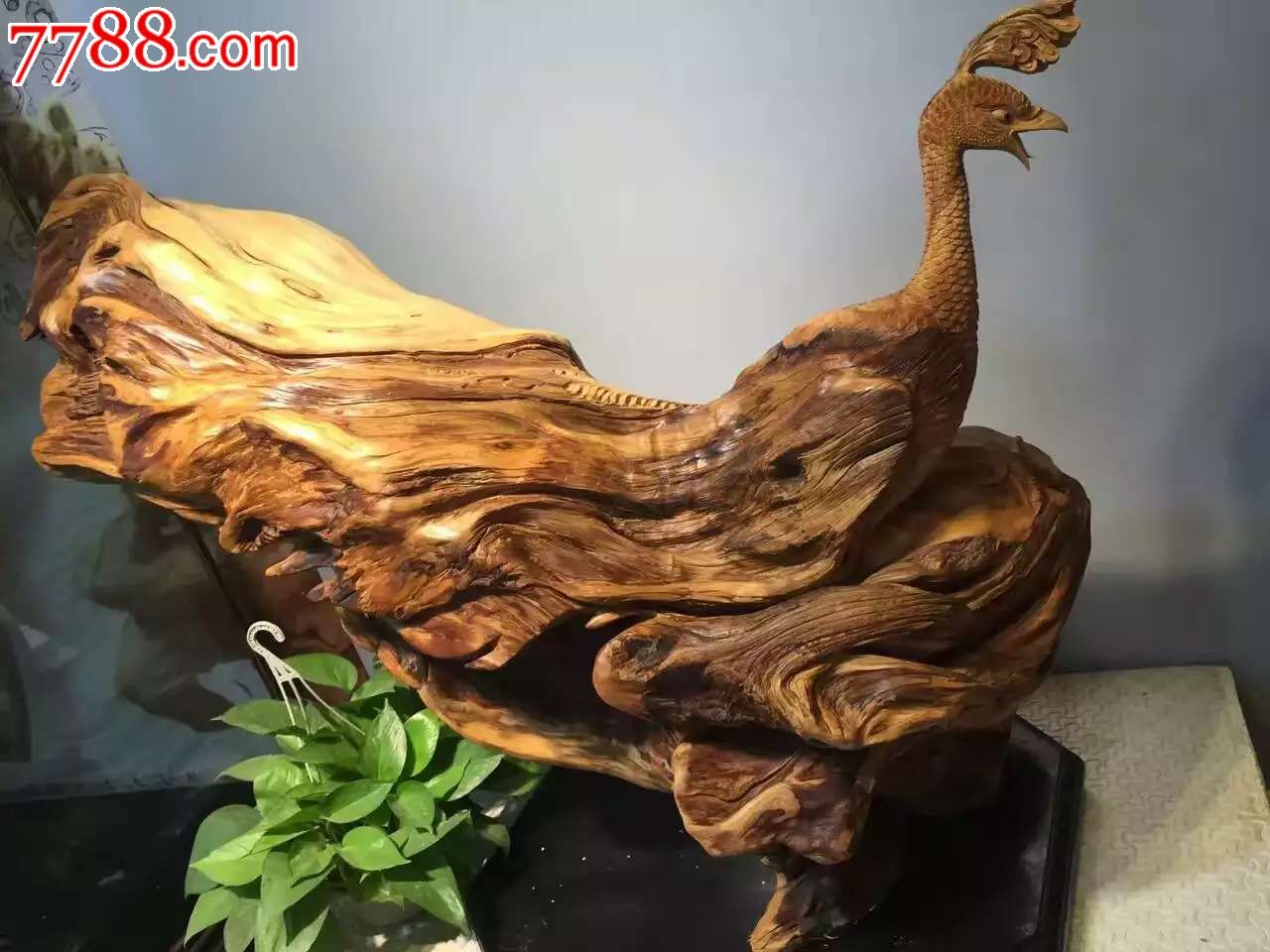 07崖柏陈化料孔雀东