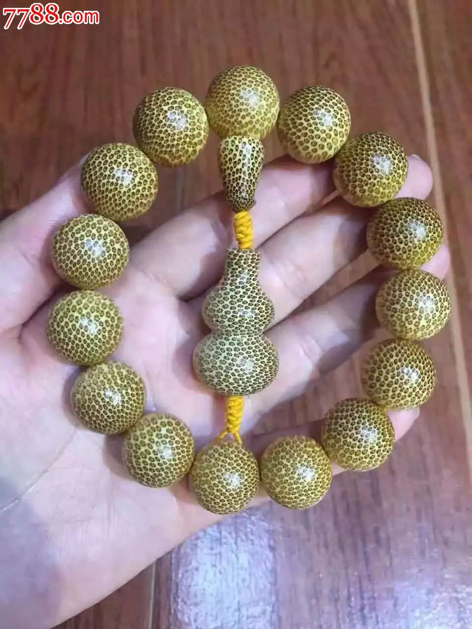 16龙血金丝竹本人最