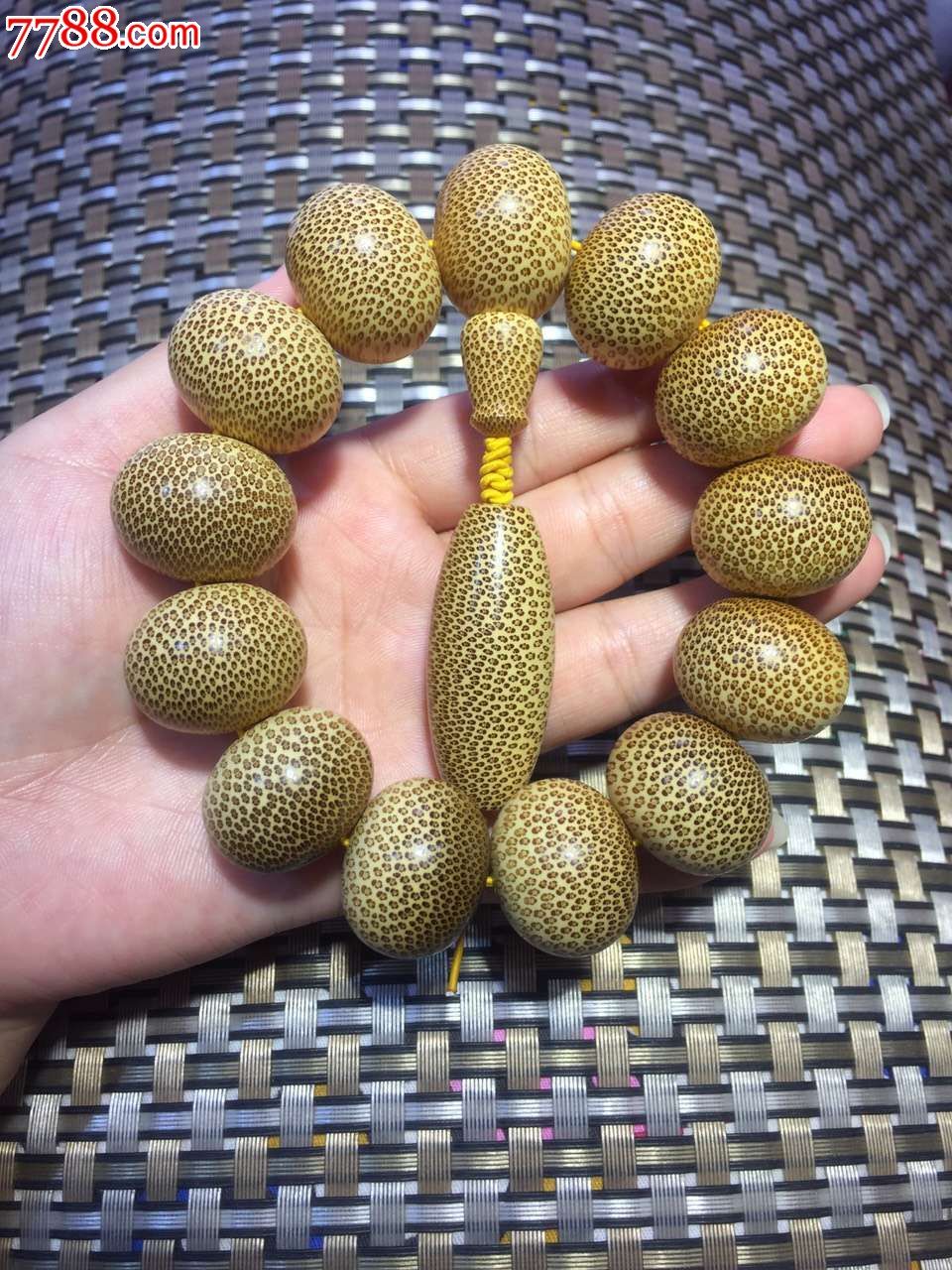 极品龙血金丝竹好货无