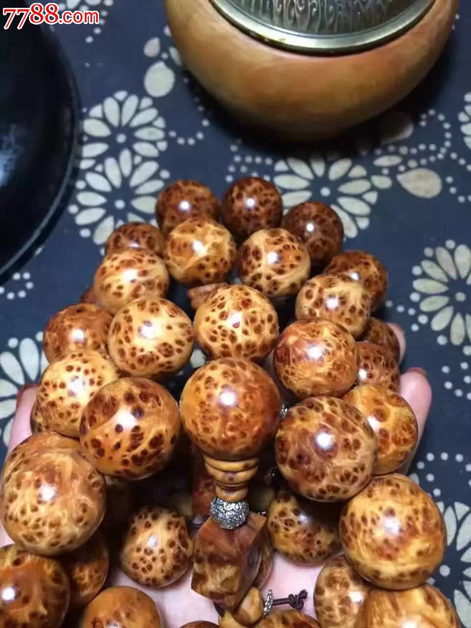 精品山柏爆满瘤疤20