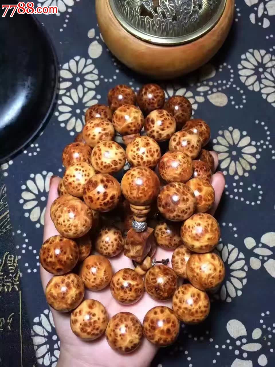 精品山柏爆满瘤疤20