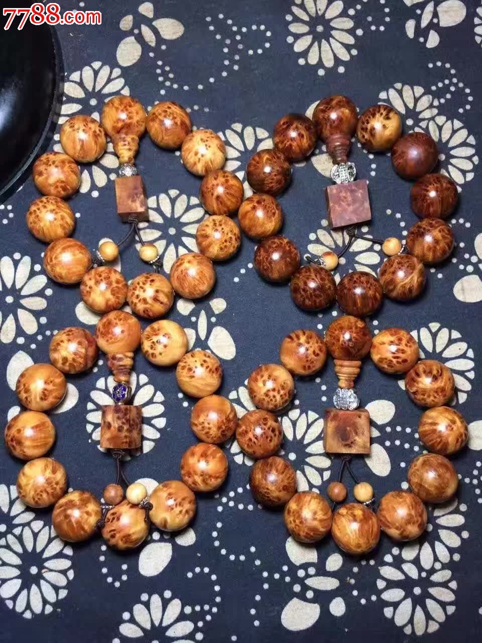 精品山柏爆满瘤疤20