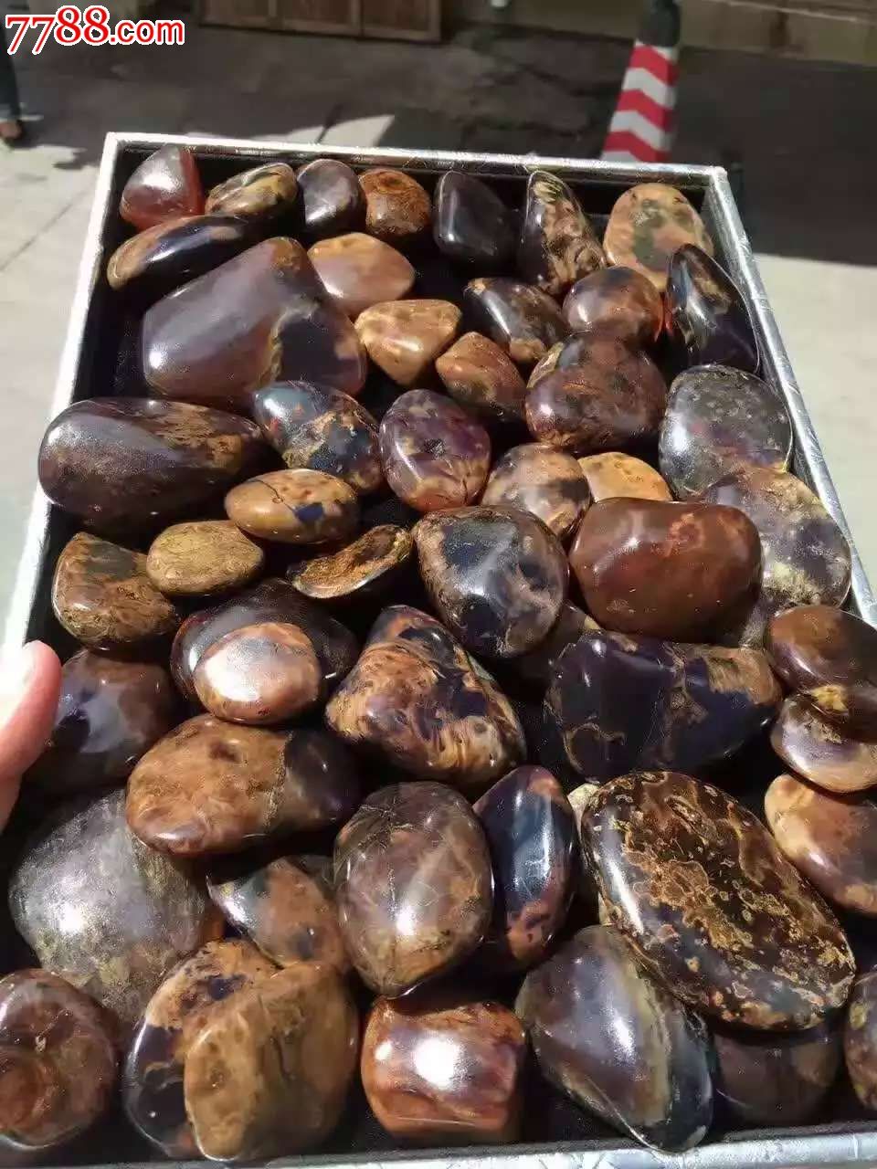 精挑一份珀根裸石个个