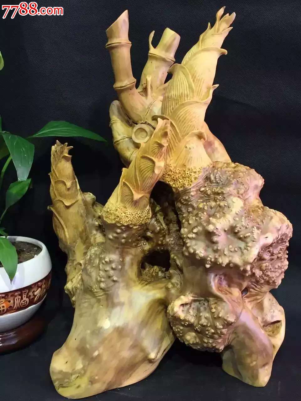 黄杨木瘤疤节节升-其他根雕/木雕-7788收藏__收藏热线