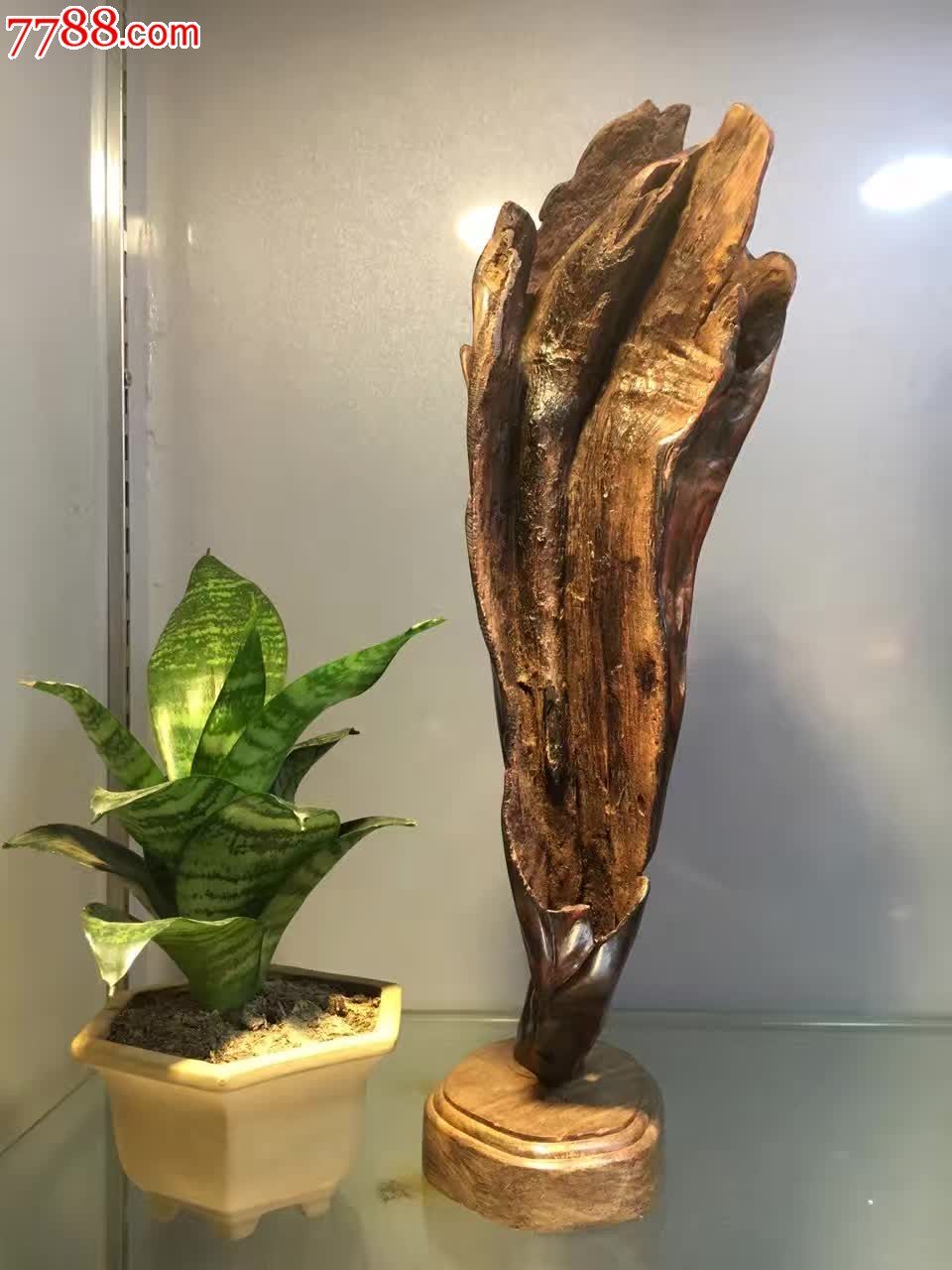 黄花梨玉兰花紫油梨纹