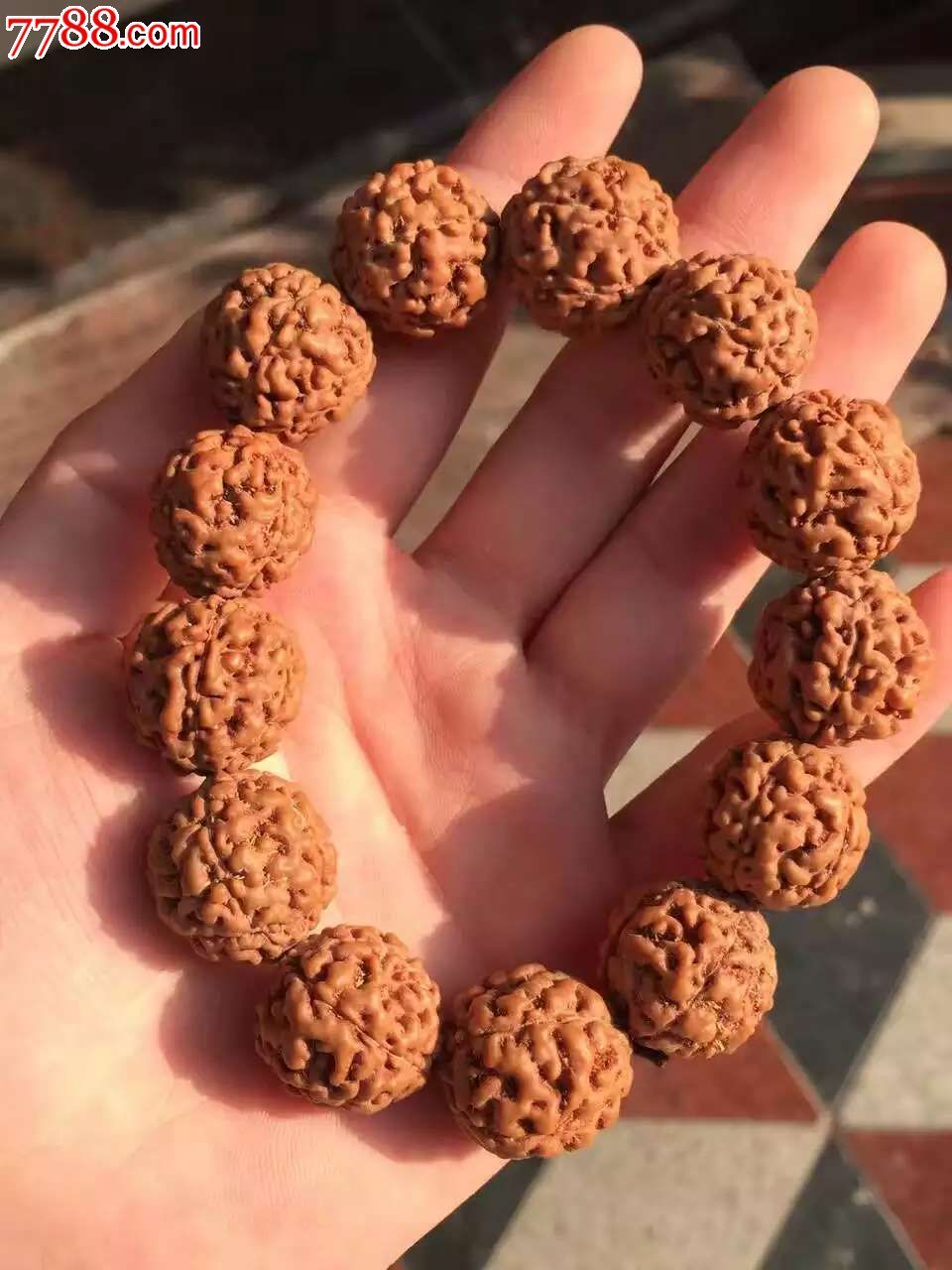 印尼五瓣白线脑纹金刚