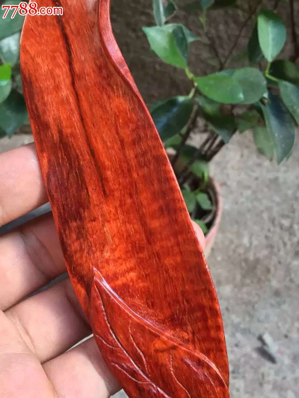 小叶紫檀手把件树叶带-木雕摆件-7788收藏__收藏热线