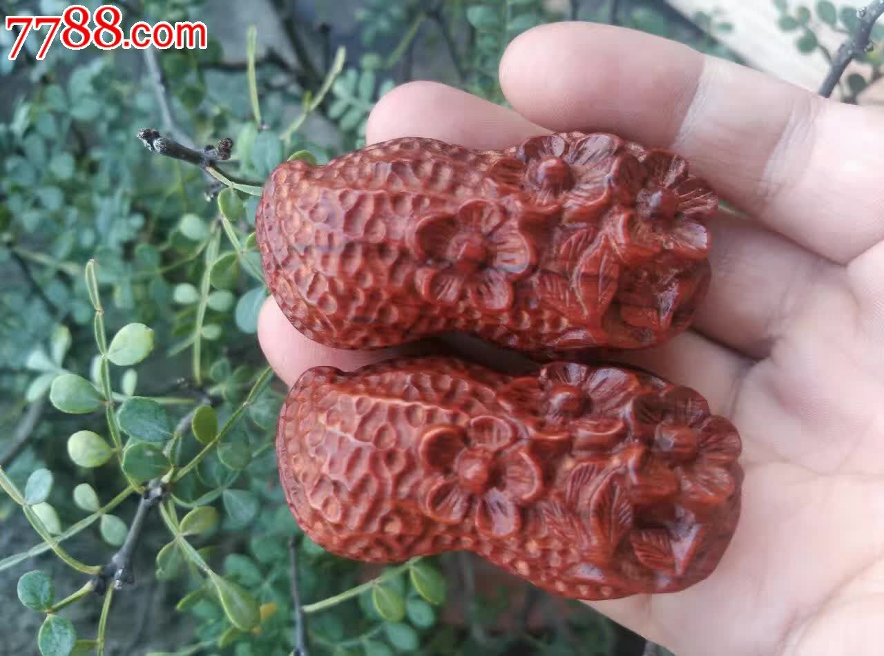 小叶紫檀金秋收获的果