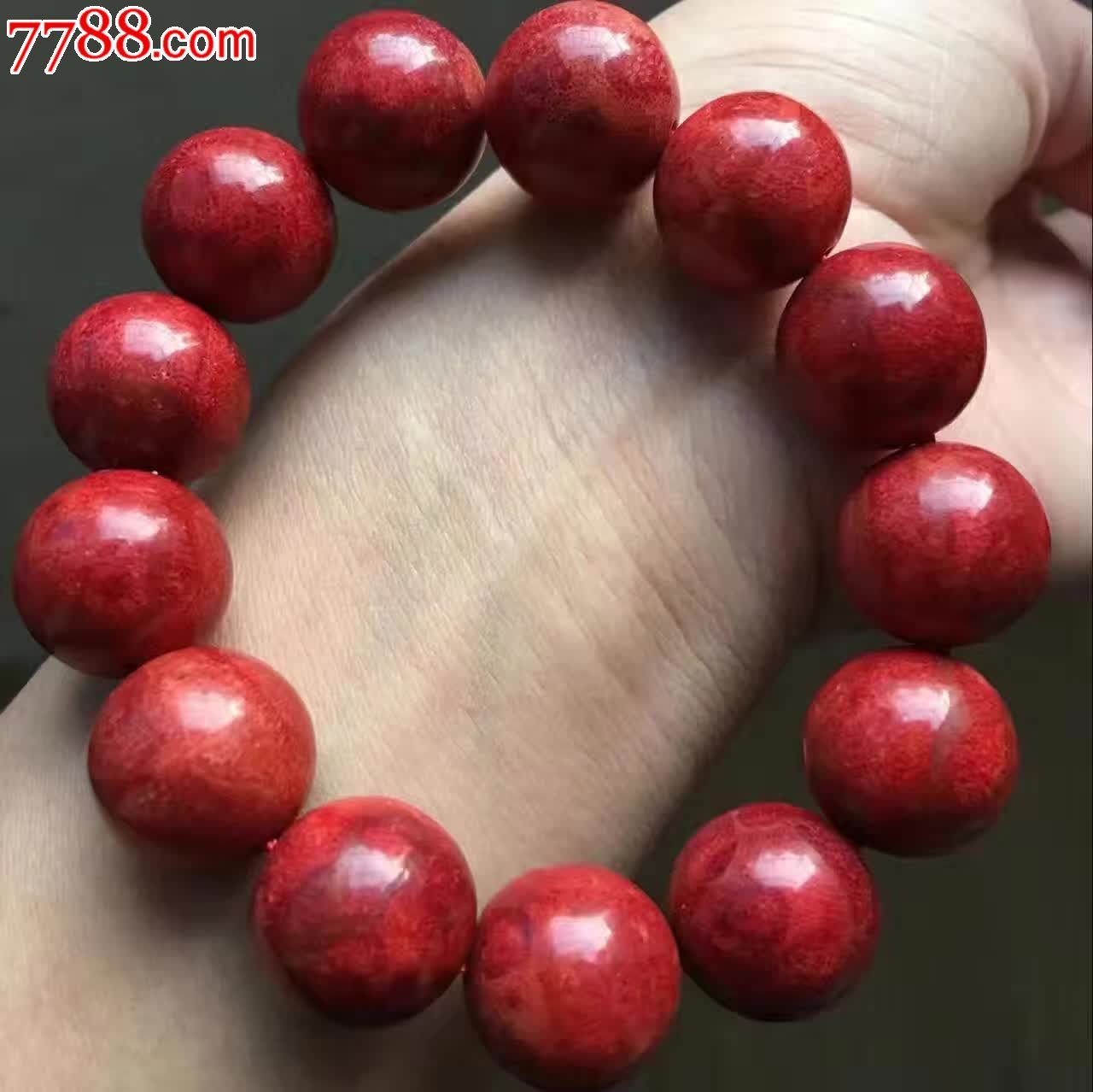 天然草珊瑚单圈大特价