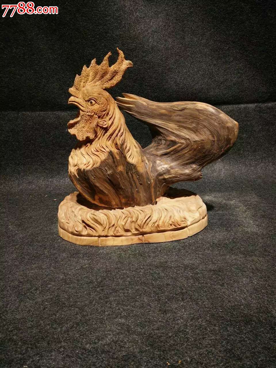 崖柏下蛋公鸡公鸡中的