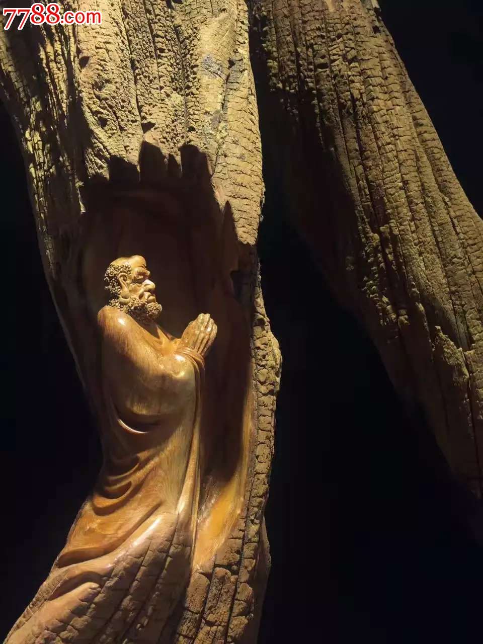 崖柏面壁达摩特点崖柏