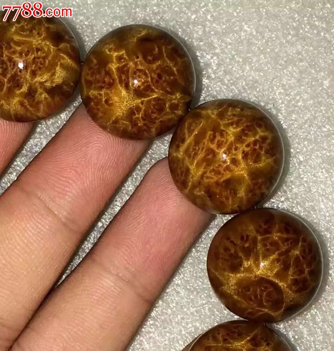 葡萄瘤吉良乘兮一千岁