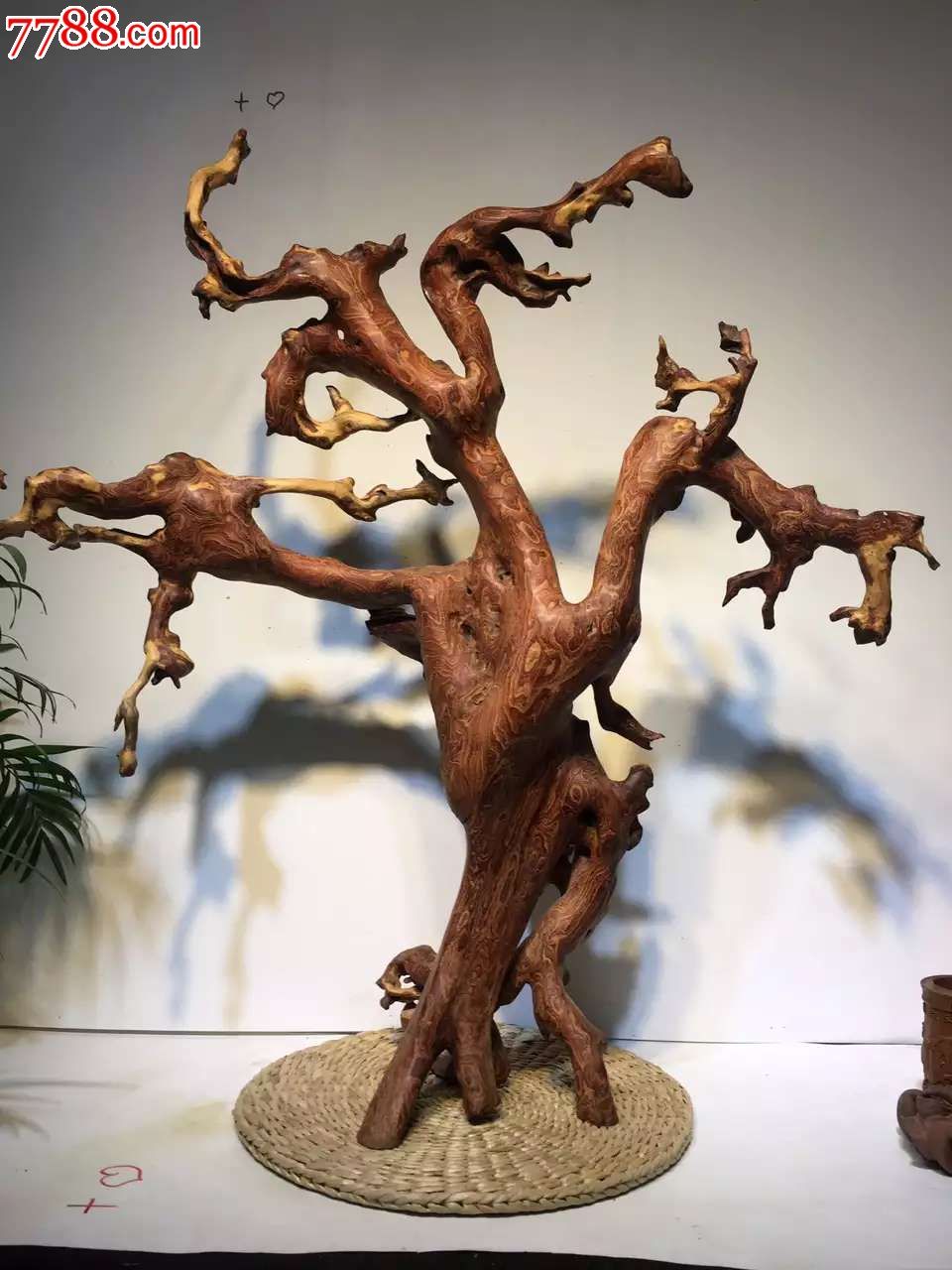 金丝红木纹理美爆了识