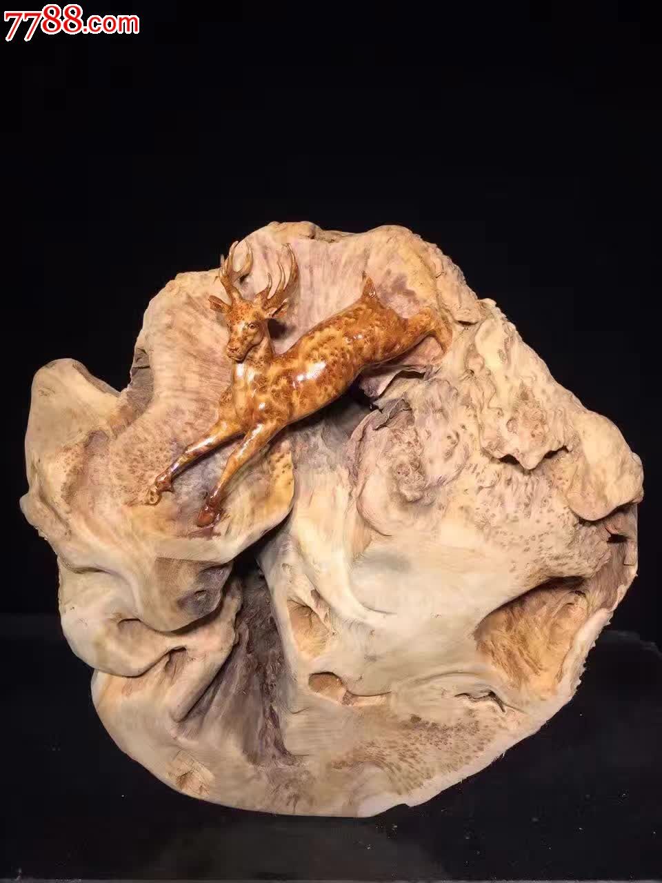 极品杉木瘤一路爆发