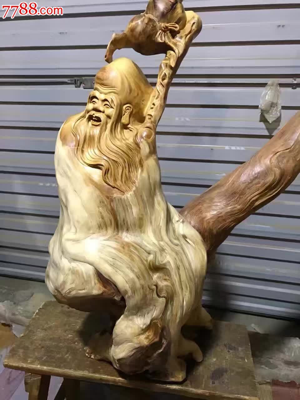 南极仙翁湖北神农架特