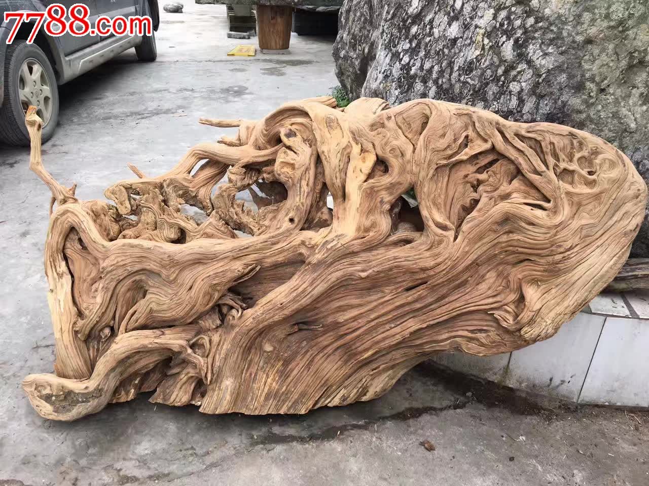 绝世精品顶级崖柏左右