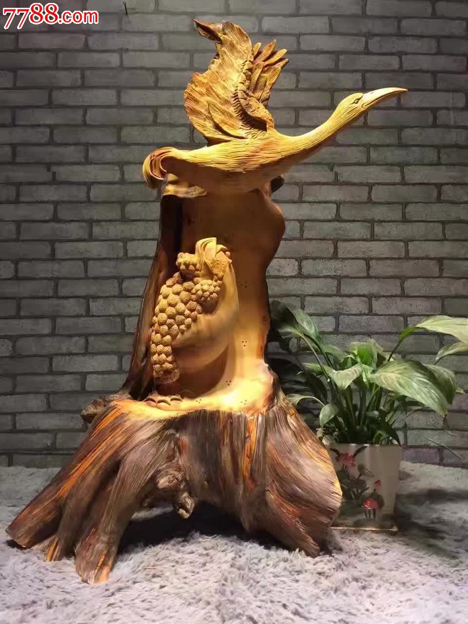 崖柏癞蛤蟆与天鹅的故