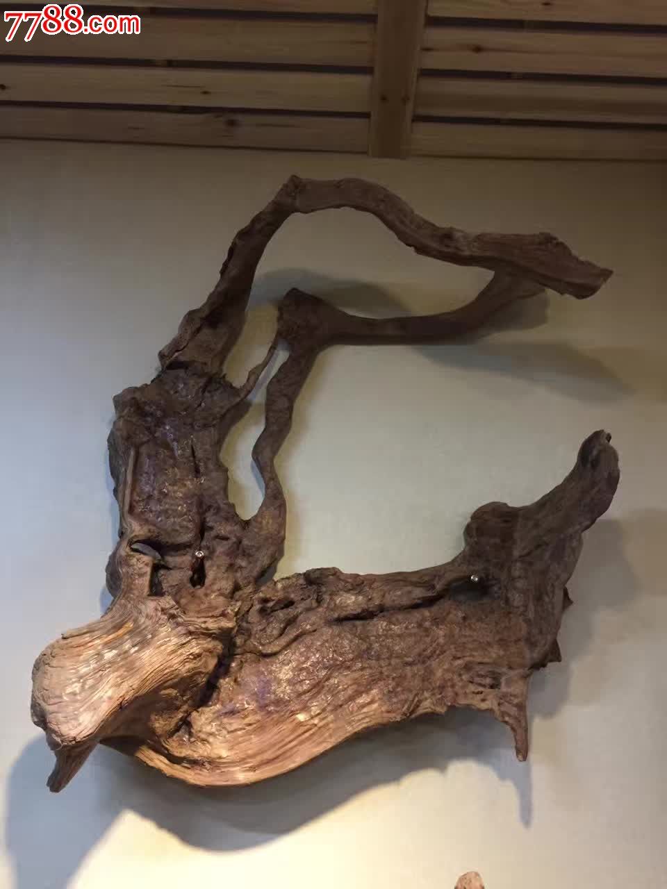 太行崖柏意境红骨料端