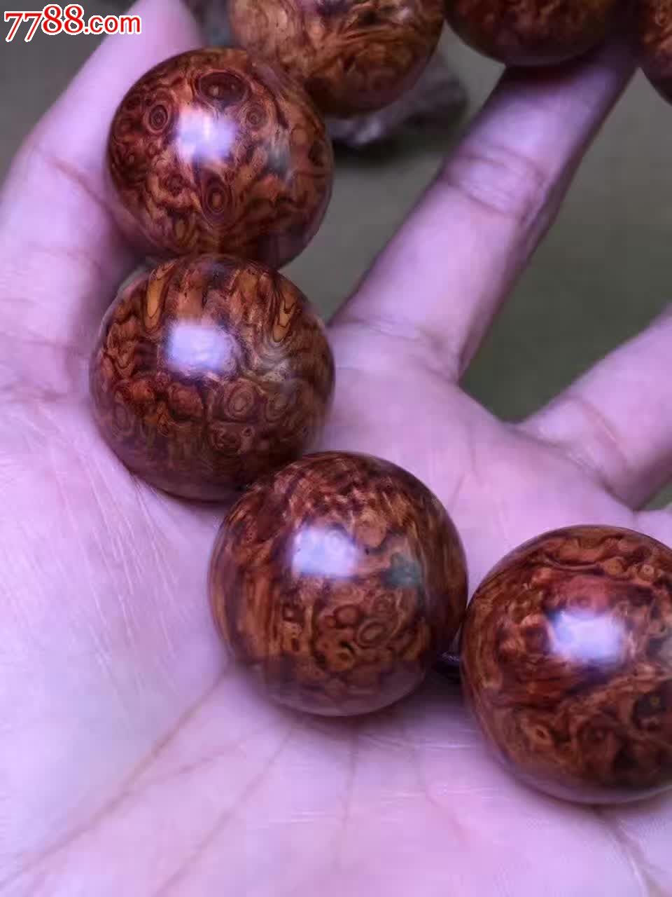 豪串25海黄瘤疤一瘿