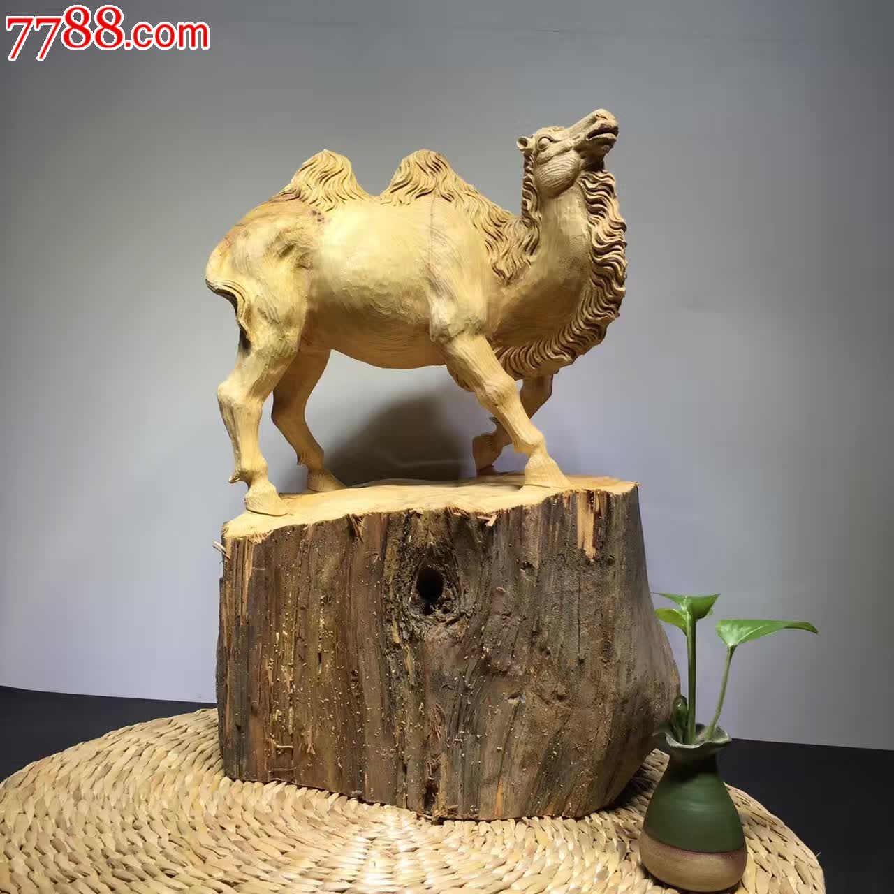 骆驼任重道远材料干净