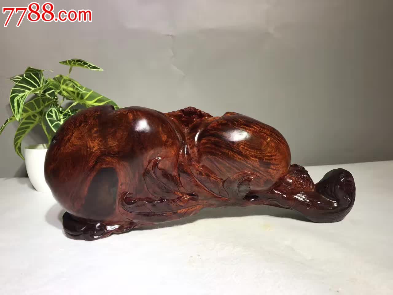 酸枝桃子