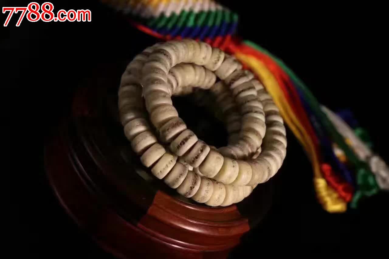 密嘎巴拉驼骨顶级头盖