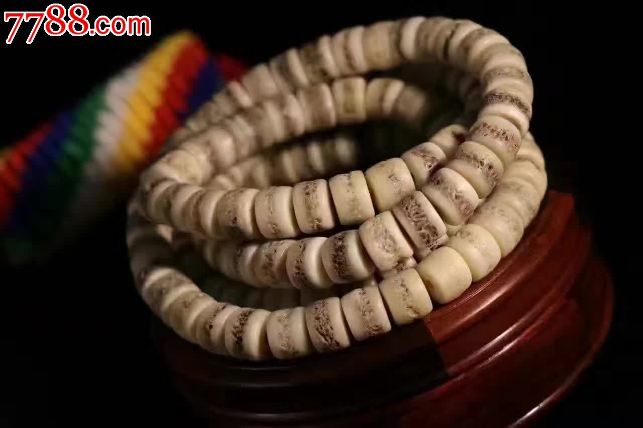 密嘎巴拉驼骨顶级头盖