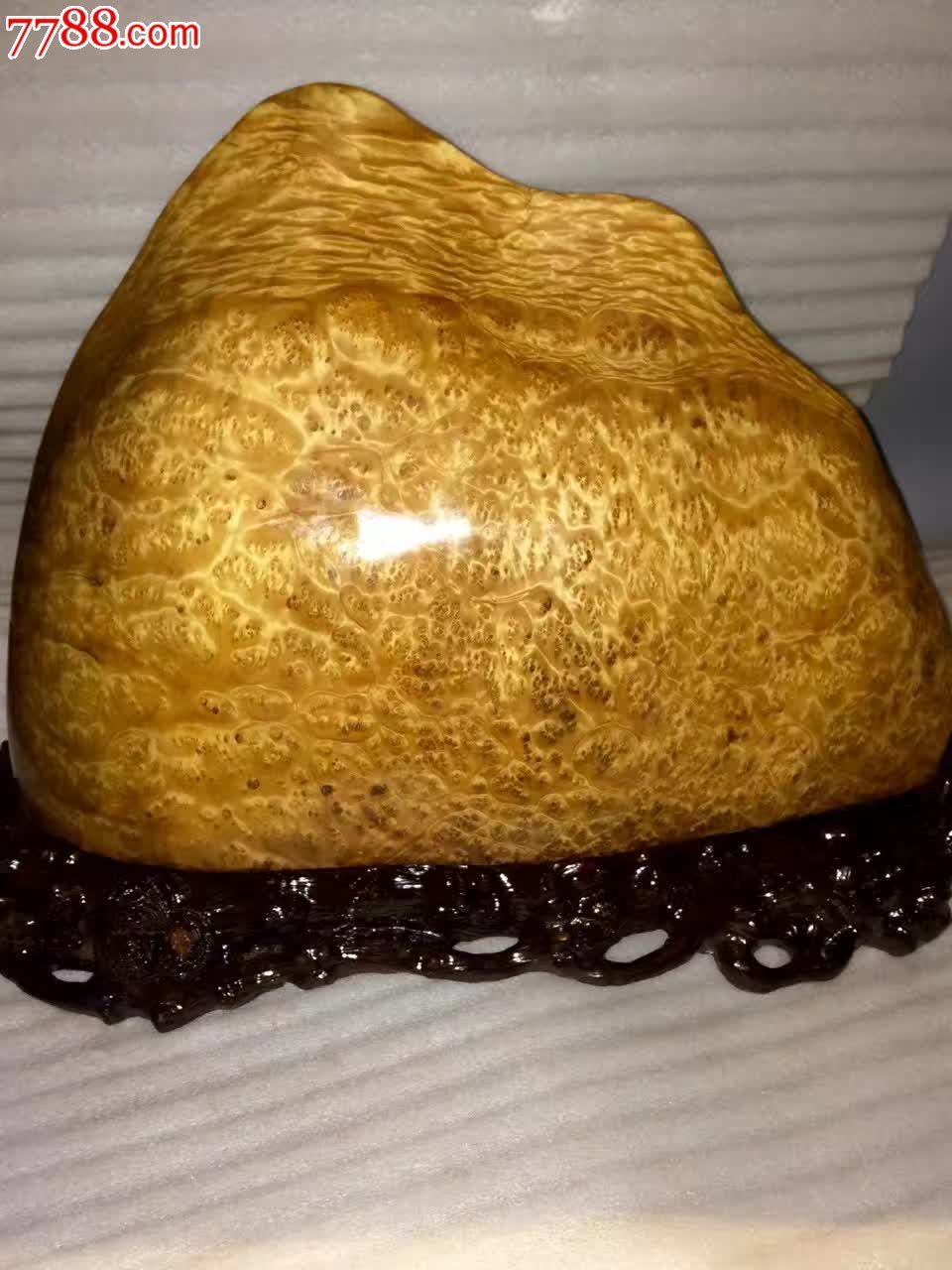 爆满瘤瘿子龙胆金丝楠