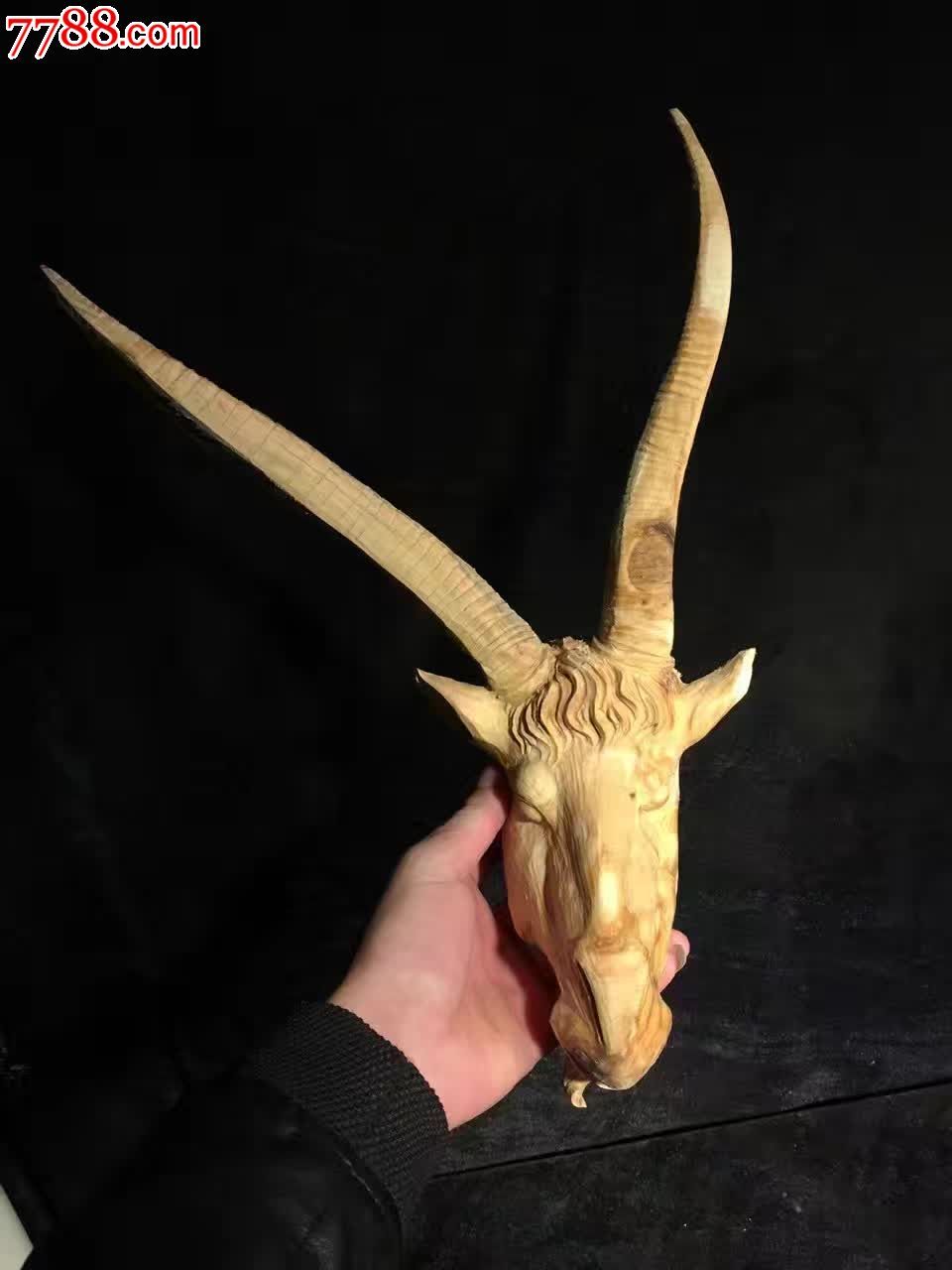 太行崖柏羊头喜欢的来