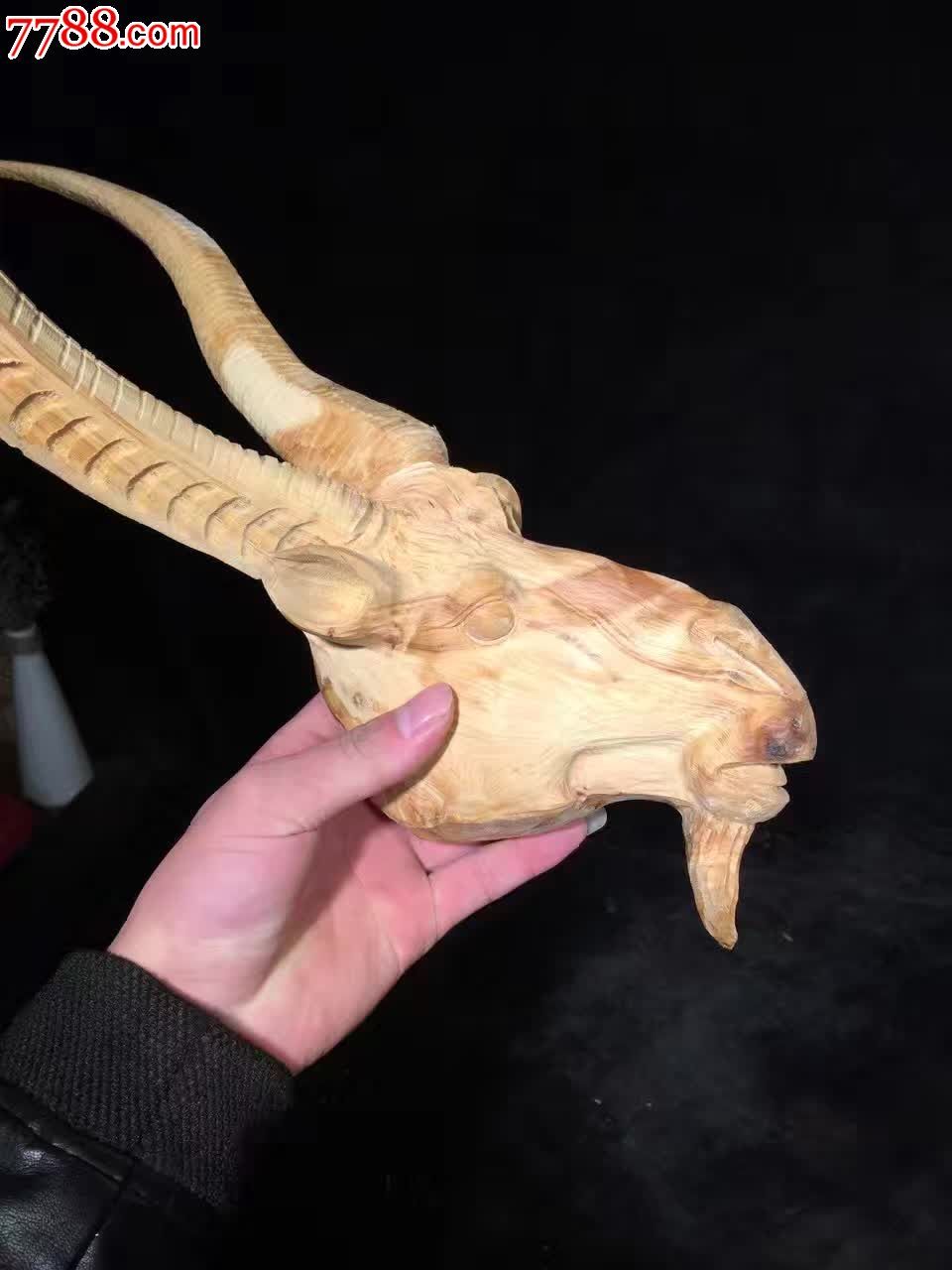 太行崖柏羊头喜欢的来