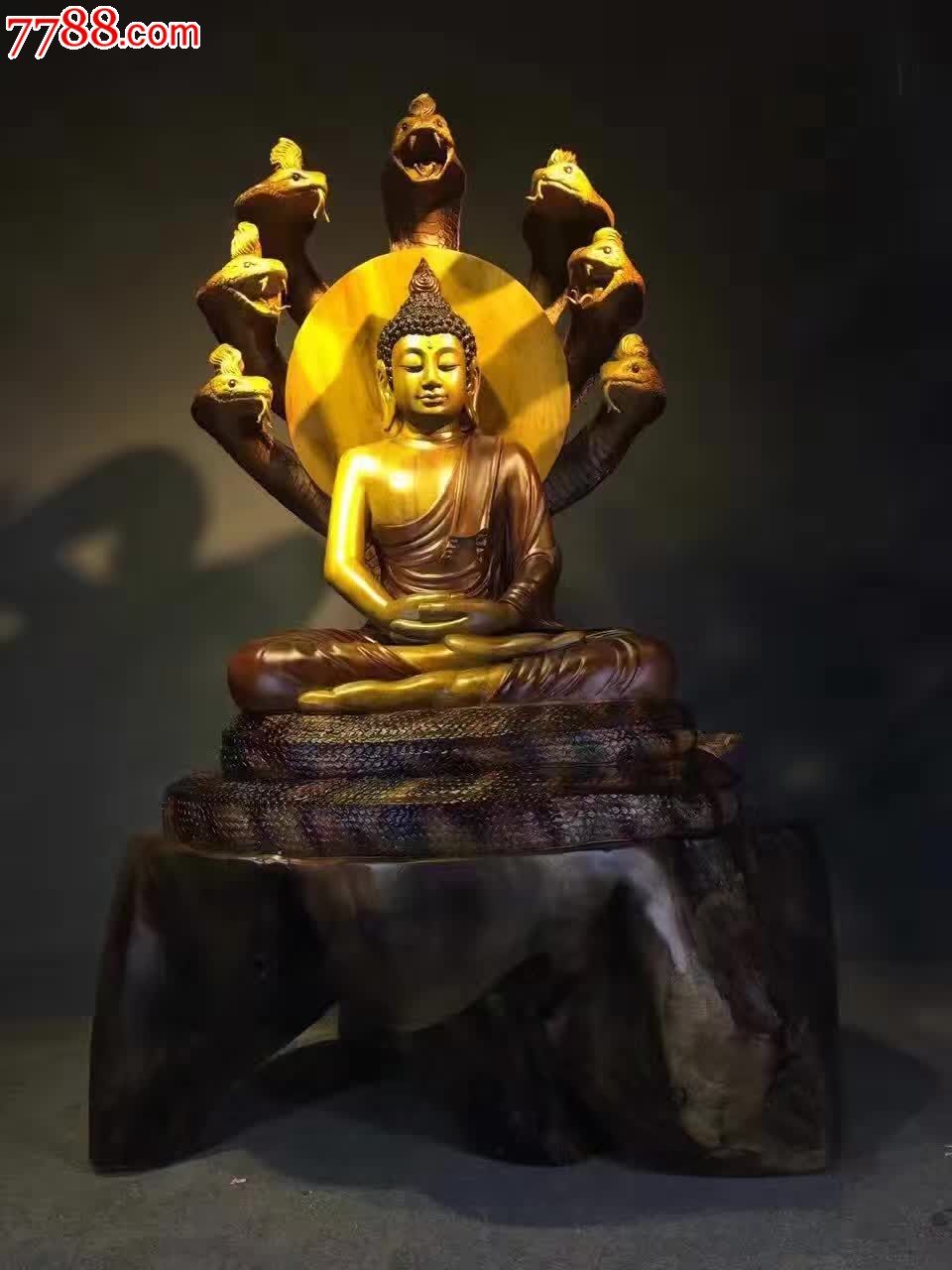 佛陀证悟后的第六个七