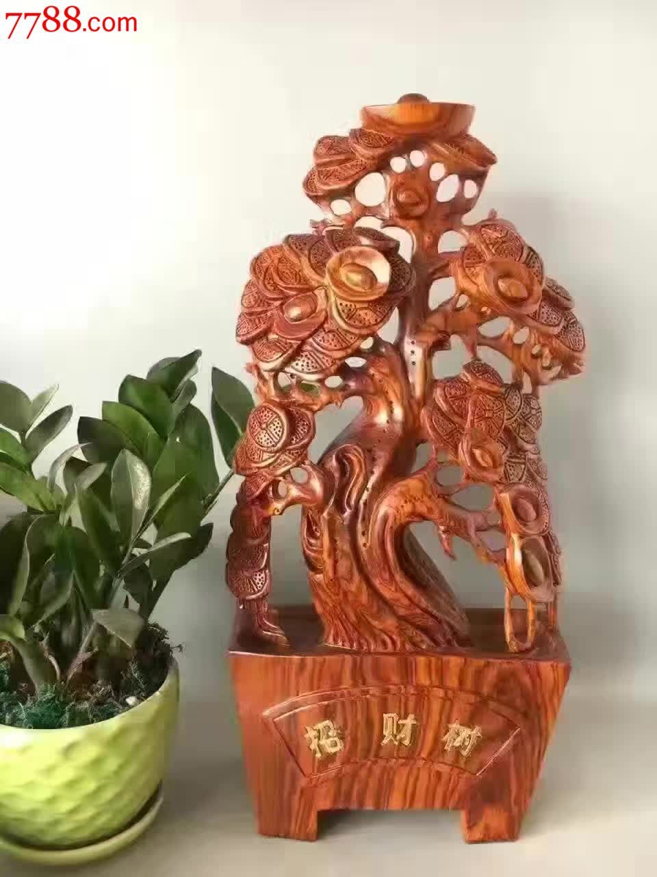 招财树量大非洲花梨木