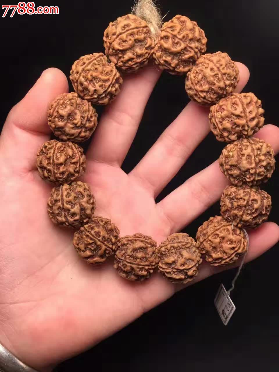 尼泊尔五瓣同树籽金刚-菩提手串/佛珠-7788收藏__收藏热线