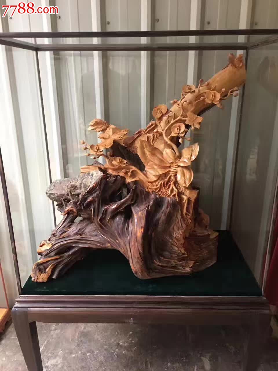 兰花蝴蝶兰干净纹理清